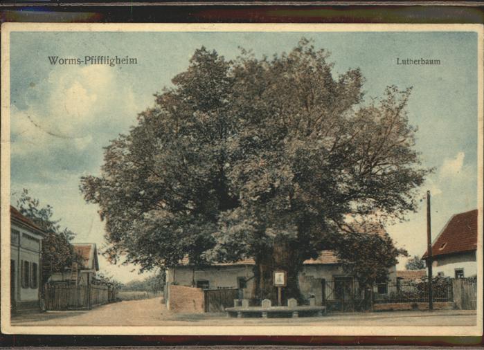 Pfiffligheim Worms Lutherbaum