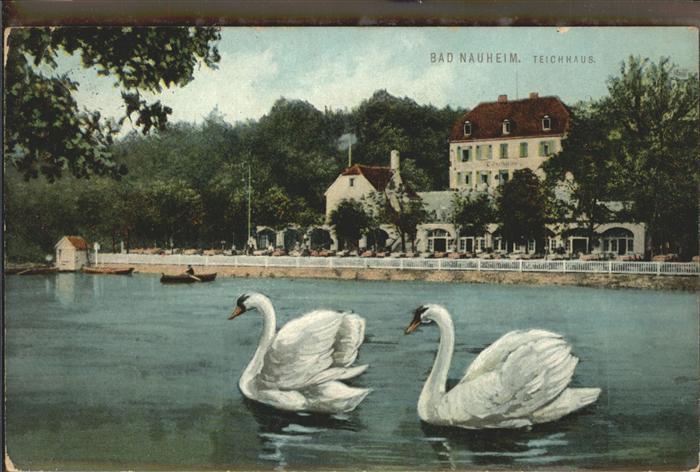 Bad Nauheim Teichhaus Schwäne