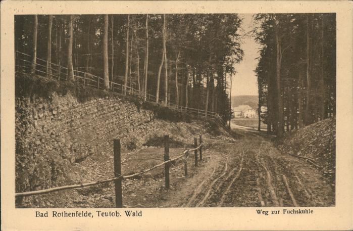 Bad Rothenfelde Weg zur Fuchskuhle