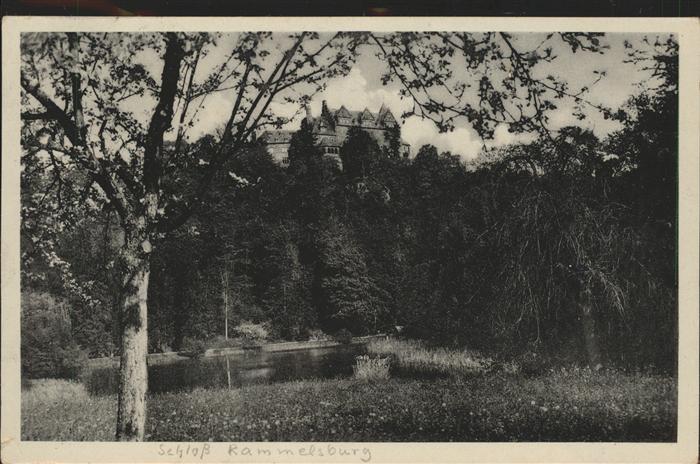 Wippra Schloss Rammelburg