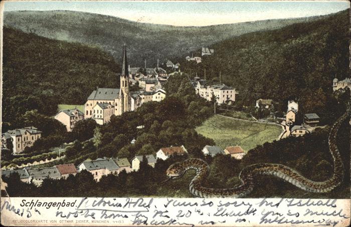 Schlangenbad Taunus Stadt Schlange