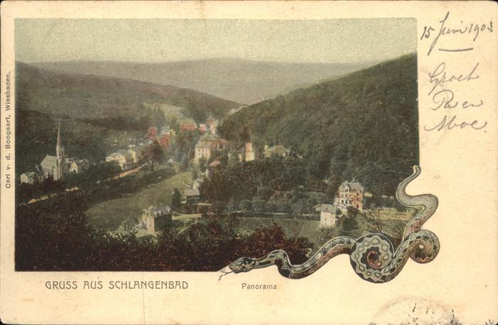Schlangenbad Taunus Schlange Panorama