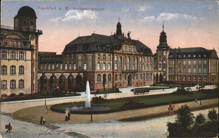 Frankfurt Main Senkenbergianum