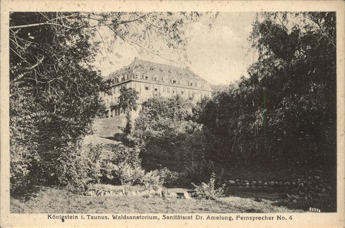 Koenigstein Taunus Waldsanatorium Sanitätsrat Dr. Amelung