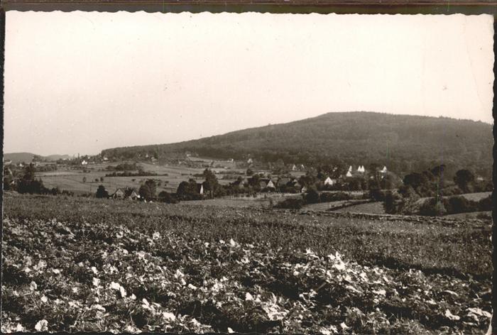 Leopoldstal Lippe Felder