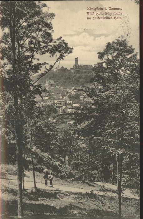Koenigstein Taunus Burg Ruine
