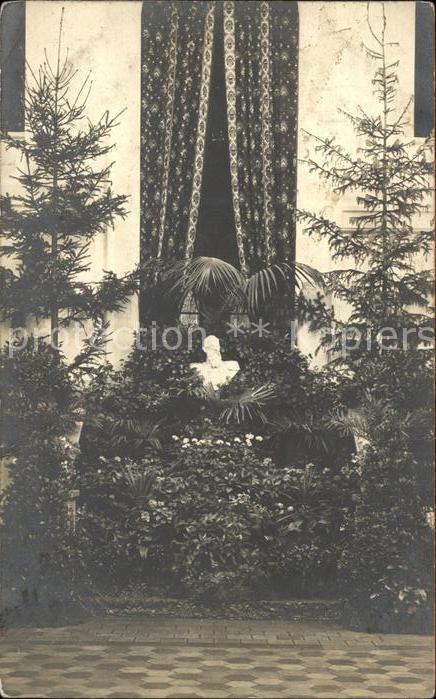 Trostberg Alz Traunstein Bayern Denkmal Bueste