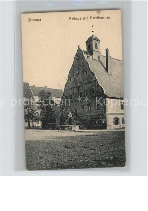 Grimma Rathaus und Marktbrunnen