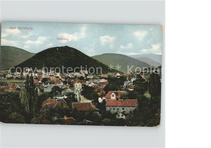 Bad Harzburg Panorama mit Burgberg