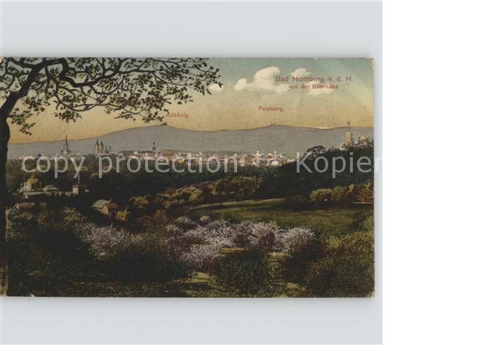 Bad Homburg Hoehe Panorama mit Feldberg Altkoenig