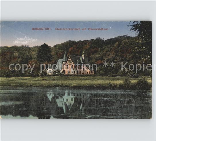 Darmstadt Steinbrueckerteich mit Oberwaldhaus