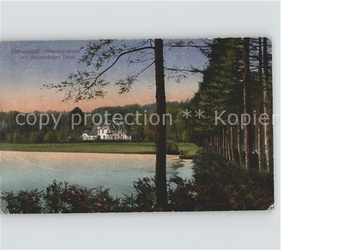 Darmstadt Oberwaldhaus Teich