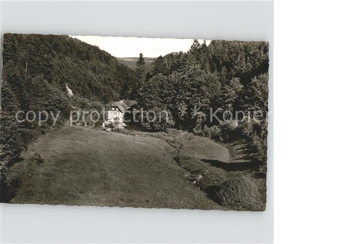 Bad Liebenzell Gasthaus Pension Waldfrieden