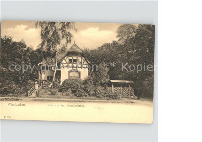 Wiesbaden Forsthaus im Damgachtal