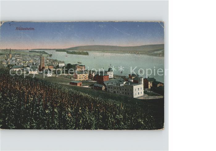 Ruedesheim Rheinpanorama
