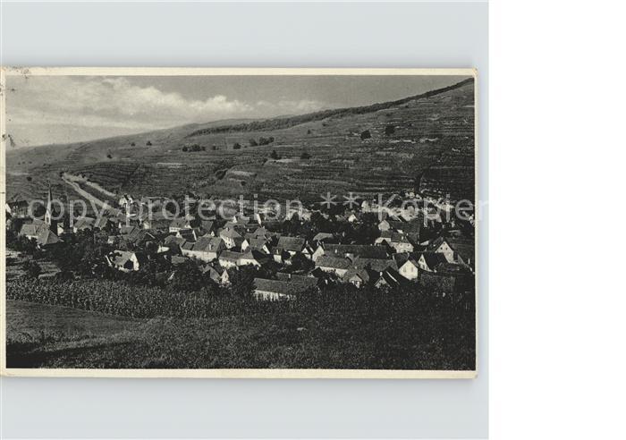 Bickensohl Panorama mit Weinbergen