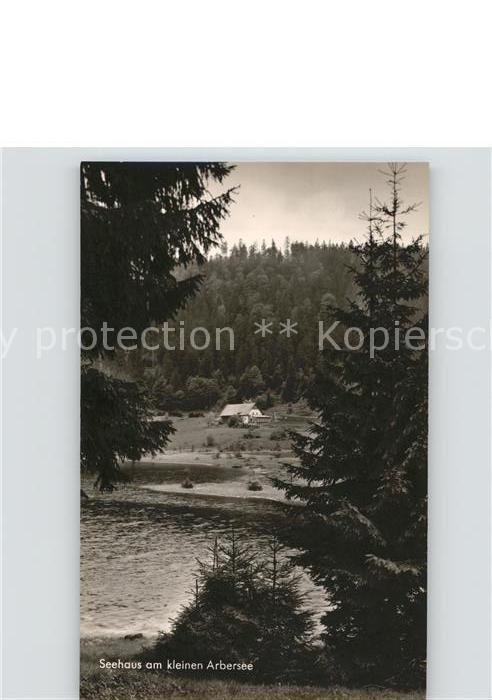 Arbersee Seehaus am Kleinen Arbersee