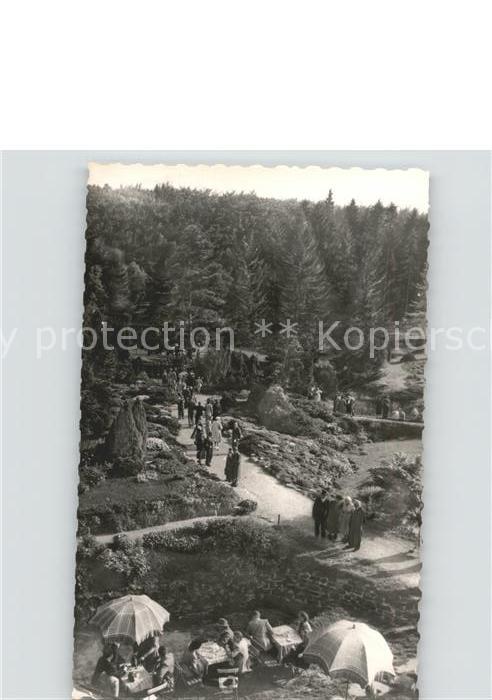 Elfenborn Waldrestaurant Cafe Elfenborn