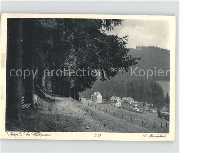 Wildemann Harz Goslar Niedersachsen Spiegeltal