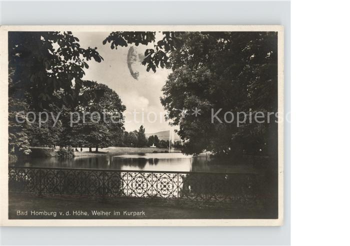 Bad Homburg Hoehe Weiher im Kurpark