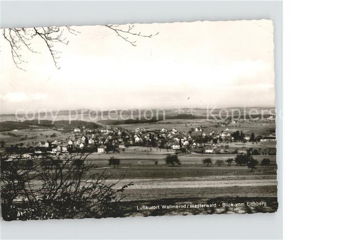 Wallmerod Blick vom Eichberg