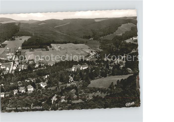 Seesen Harz Fliegeraufnahme