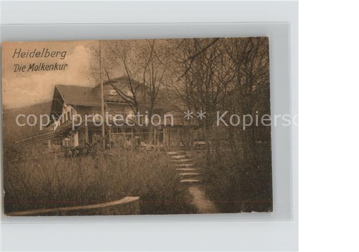 Heidelberg Neckar Molkenkur haus