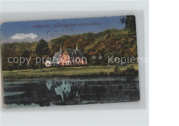 Darmstadt Steinbrueckerteich mit Oberwaldhaus