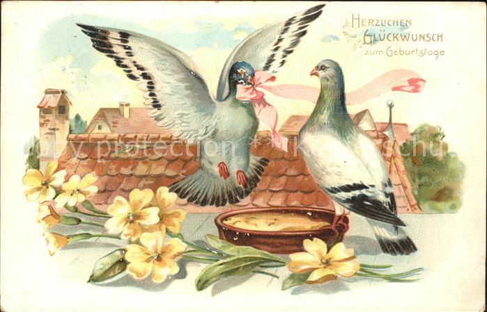 Tauben Geburtstag Blumen Schleife