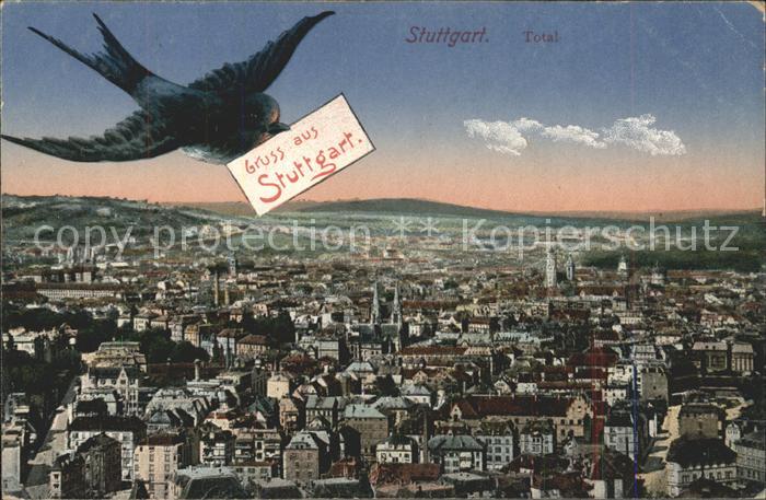 STUTTGART  CITY Schwalbe