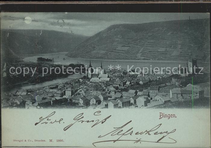 Bingen Rhein Panorama