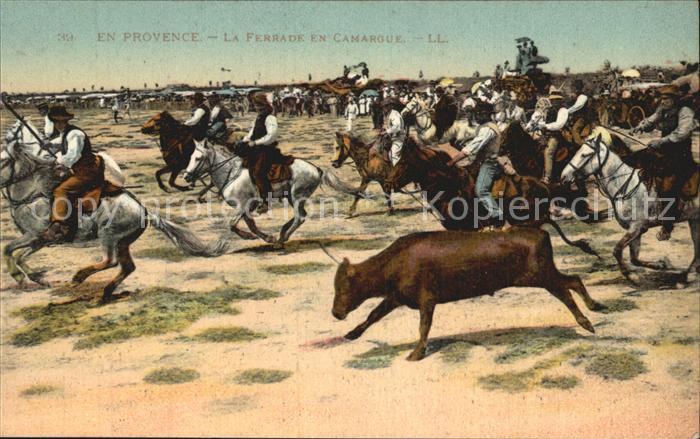 Pferde Ferrade en Camargue