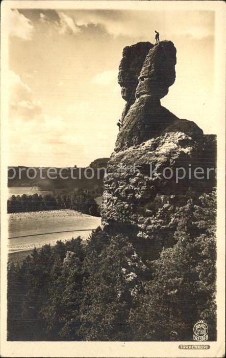 Foto Hahn Nr. 2188 Kletterer Türkenkopf