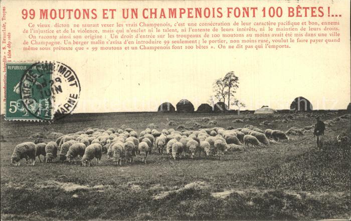 Schafe Hirte 99 Moutons et un Champenois font