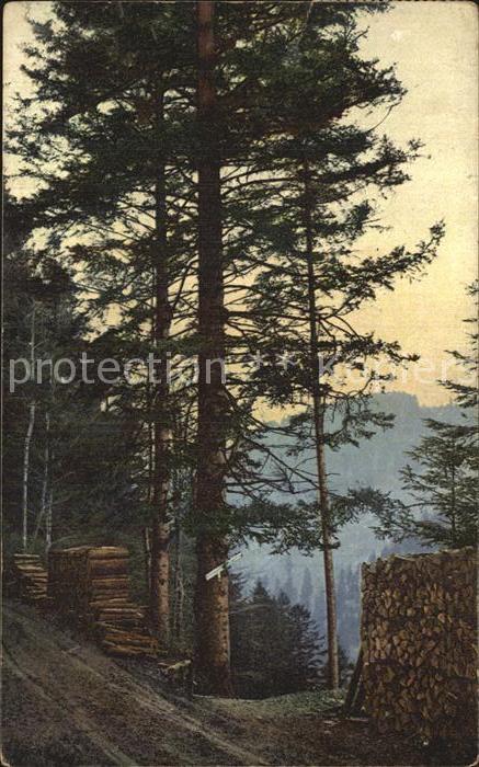 Schwarzwald Höllental