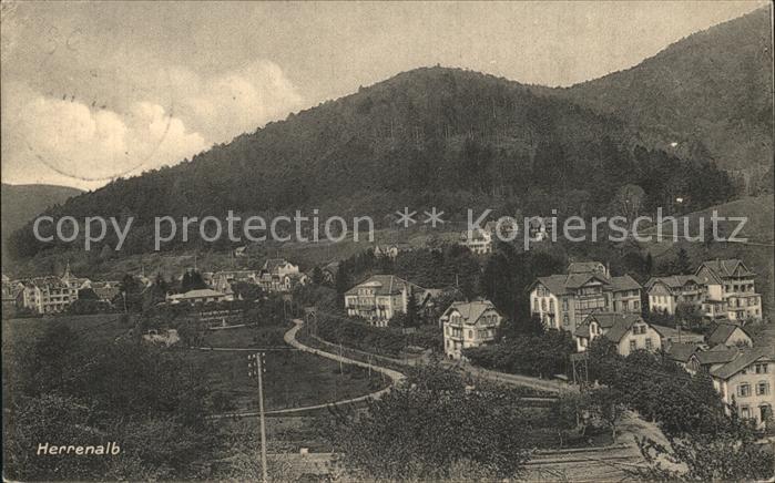 Bad Herrenalb Panorama