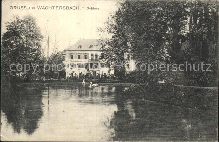 Waechtersbach Schloss Schwanenteich