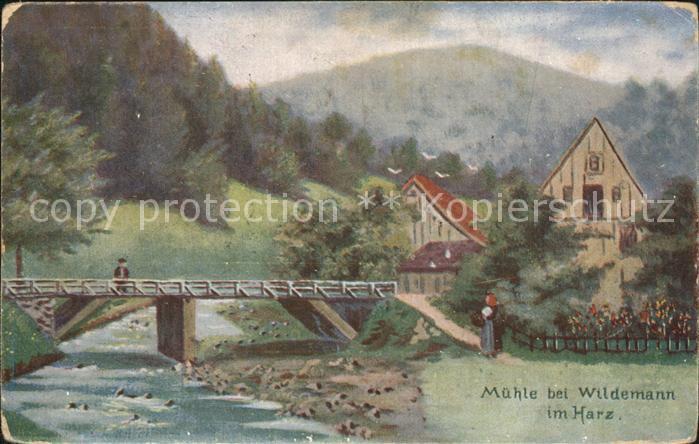 Wildemann Harz Goslar Niedersachsen Muehle Bruecke