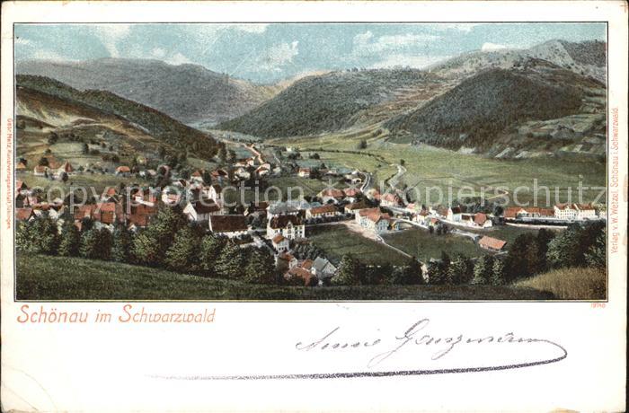 Schoenau Schwarzwald Panorama