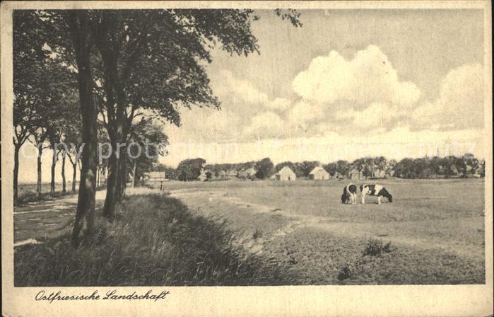 Ostfriesland Landschaftspanorama