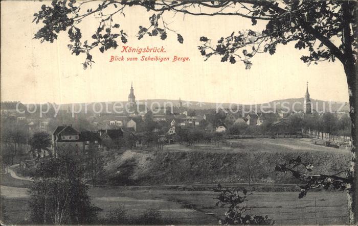 Koenigsbrueck Panorama Blick vom Scheibigen Berge