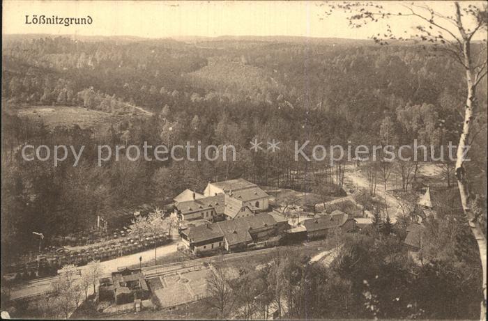 Loessnitzgrund Panorama