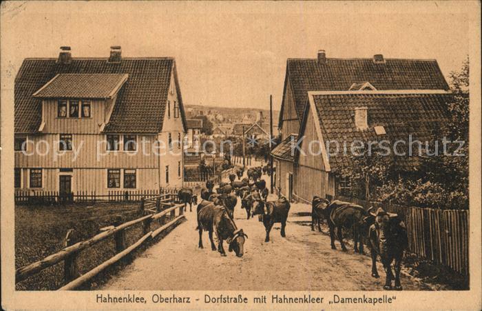 Hahnenklee-Bockswiese Harz Dorfstrasse mit Hahnenkleer Damenkapelle Kuehe