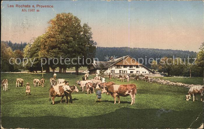 Provence-Mutrux Les Rochats Bauernhof Kuehe