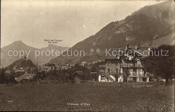 Chateau-d Oex Teilansicht mit Dent de Corjon Alpes