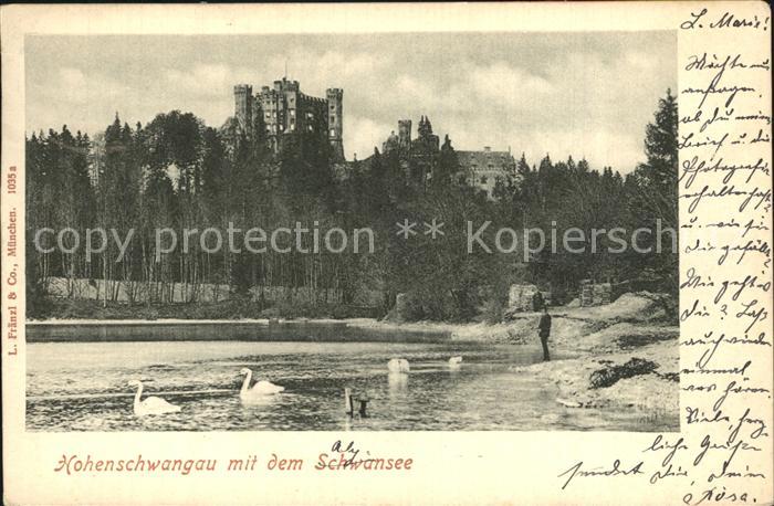 Hohenschwangau Schwansee Schwaene Schloss