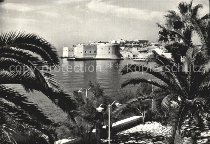 Dubrovnik Ragusa Uferpromenade Palmen Festung Altstadt