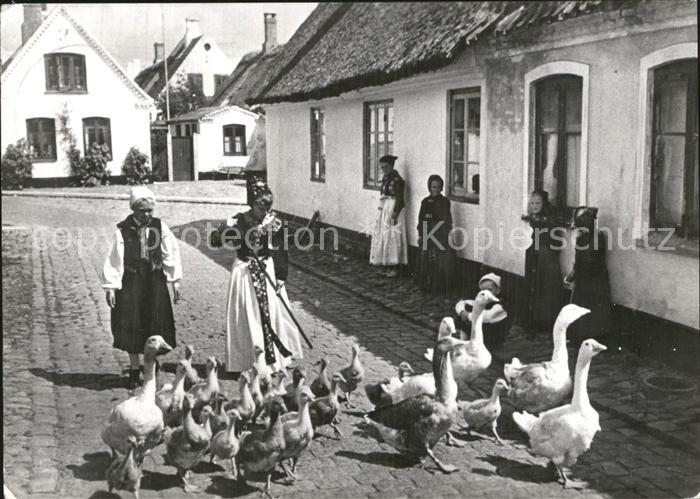 Dragor Gaensemaedchen Gaense