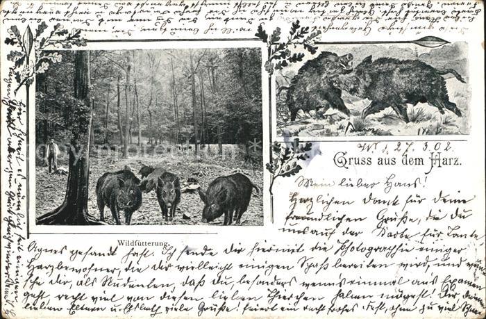 Harz Region Wildfuetterung