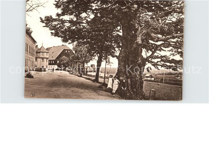 Zinnwald-Georgenfeld mit Grenz-Buche